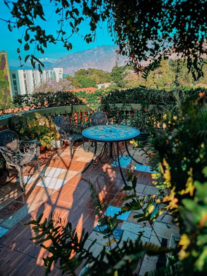 פנחאצ'ל Hotel Casa Texel מראה חיצוני תמונה
